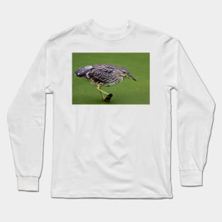 Juvenile Black-crowned Night Heron Long Sleeve T-Shirt